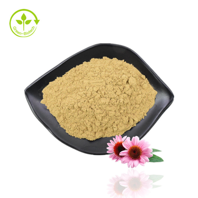 Estratto di erbe di Echinacea Estratto di Echinacea Purpurea Estratto di polifenoli Echinacea