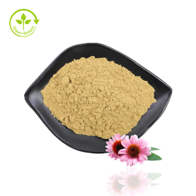 Estratto di erbe di Echinacea Estratto di Echinacea Purpurea Estratto di polifenoli Echinacea