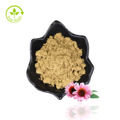 Estratto naturale di echinacea purpurea/estratto di echinacea in polvere