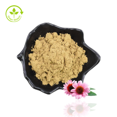 Fornitura originale del produttore Estratto di radice di echinacea purpurea per uso alimentare di buona qualità