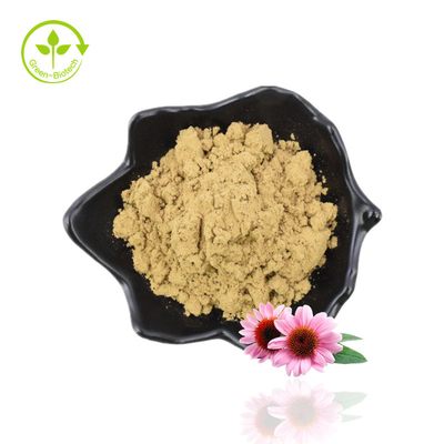 Fornitura originale del produttore Estratto di radice di echinacea purpurea per uso alimentare di buona qualità