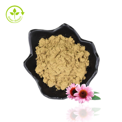 Bulk 4% Estratto di polifenoli Echinacea Purpurea in polvere Estratto di echinacea viola