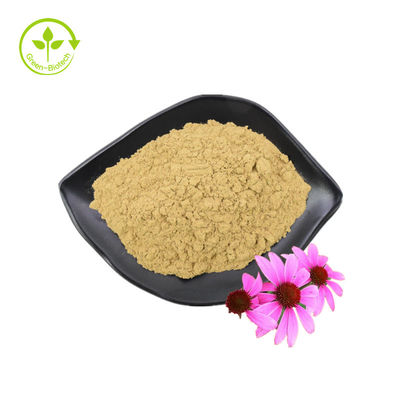 Polifenoli di alta qualità standard GMP Polvere di echinacea purpurea Estratto di echinacea purpurea