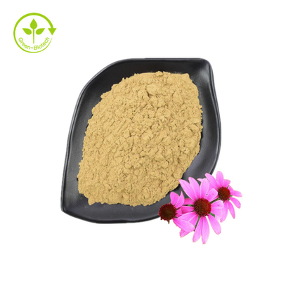 Fornire estratto di echinacea purpurea di buona qualità integratore sanitario estratto di echinacea purpurea