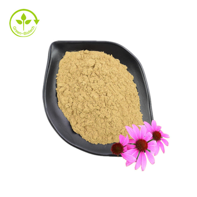 Fornire estratto di echinacea purpurea di buona qualità integratore sanitario estratto di echinacea purpurea