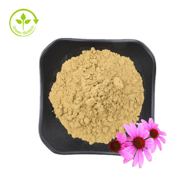 Estratto di radice di echinacea purpurea di alta qualità 10% polifenoli Estratto di echinacea purpurea Estratto di echinacea
