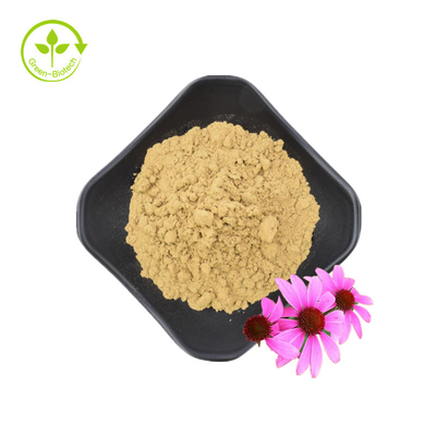 Estratto di radice di echinacea purpurea di alta qualità 10% polifenoli Estratto di echinacea purpurea Estratto di echinacea