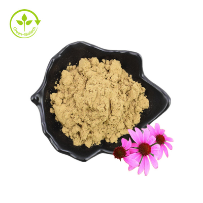 Estratto di semi di fiori di polvere secca di polifenoli organici Estratto di echinacea purpurea