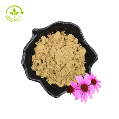 Echinacea Purpurea Estratto Echinacea Estratto Acido cicorico al 4%