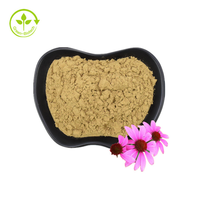 Estratto biologico di Echinacea purpurea Estratto di radice di Echinacea