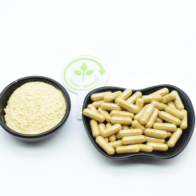 Extratto di radice di ginseng rosso in polvere 80% Ginsenoside in polvere Prodotti sanitari