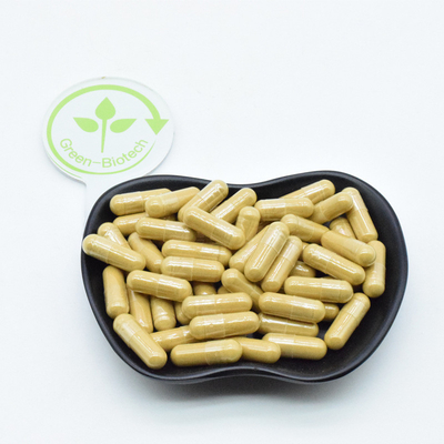 Extracto di radice di ginseng americano puro in polvere 10:1