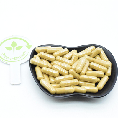 Extratto di radice di ginseng rosso naturale di Panax Siberiano Coreano 10% 20% 80% Ginsenosidi in polvere