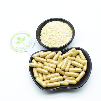 Erba biologica naturale coltivata Ginseng intero Estratto Panax Ginseng Radice