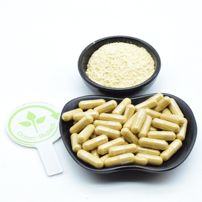 Extratti naturali di radici di ginseng in polvere di ginseng fresco e secco