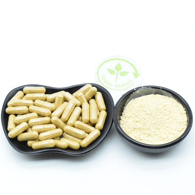 Estratti di radice di ginseng secco in polvere fresca