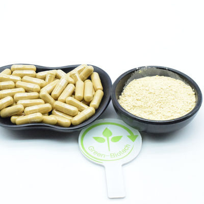 25 kg/Tamburo Estratti vegetali naturali di radice di ginseng Estratti di ginsenosidi