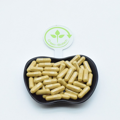 Estratto di radice di ginseng naturale Capsule Polvere Bevande Caffè Tè Semi Panax Ginseng
