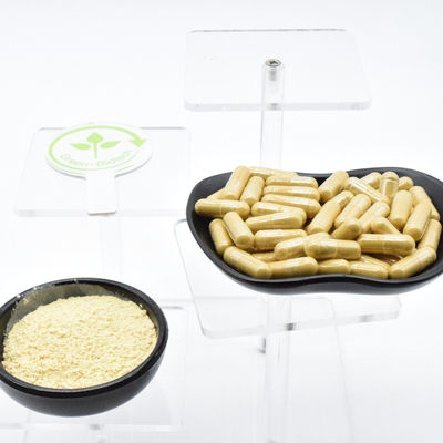 Estratti vegetali naturali secchi di radice di ginseng cinese 1 kg