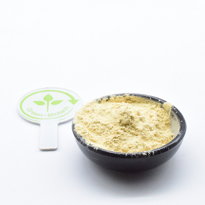 Supplemento sanitario Puro Panax Ginseng Polvere Panax Ginseng Estratto 5%-80% Ginsenoside