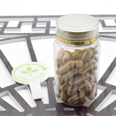 Supplemento sanitario Puro Panax Ginseng Polvere Panax Ginseng Estratto 5%-80% Ginsenoside