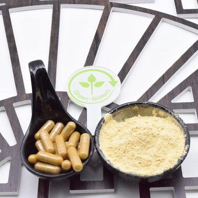 Medicina cinese promozionale Ginseng in polvere per cucinare