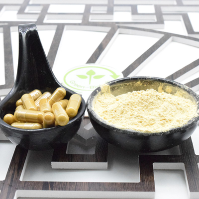 Esemplare gratuito di Panax Ginseng Ginsenosidi 30% Panax rosso Ginseng in polvere