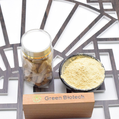 Esemplare gratuito di Panax Ginseng Ginsenosidi 30% Panax rosso Ginseng in polvere