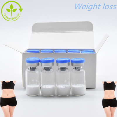 CAS 910463-68-2 Semaglutide per la perdita di peso 10mg/Vails In stock