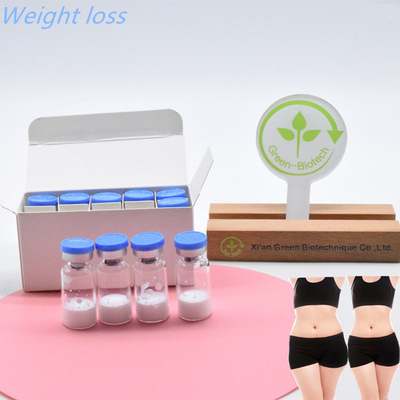 Semaglutide di alta qualità per iniezioni per il bodybuilding