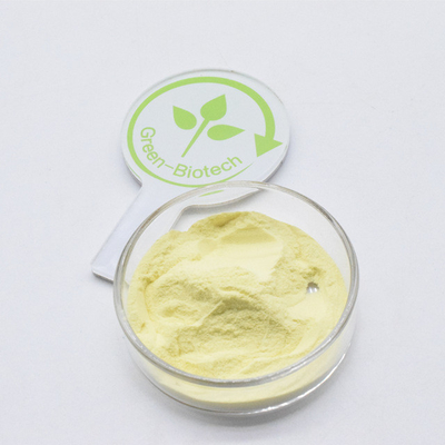 Estrato di pianta di kava pura 10% 30% Estratto di radice di kava Kavalactone