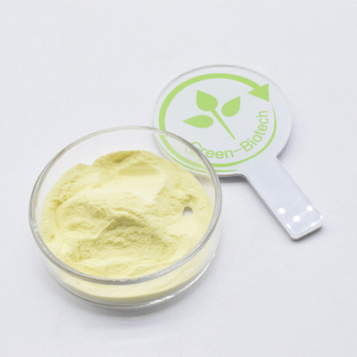 Marca privata Giallo polvere fine di CO2 Kava Estratto 30% Per un buon prezzo
