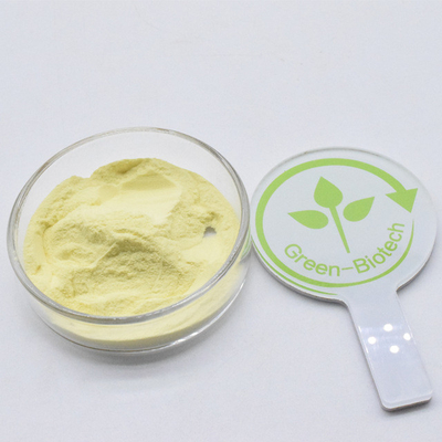 Estratto di kava organico in polvere di alta qualità giallo per alimenti 30% 50%