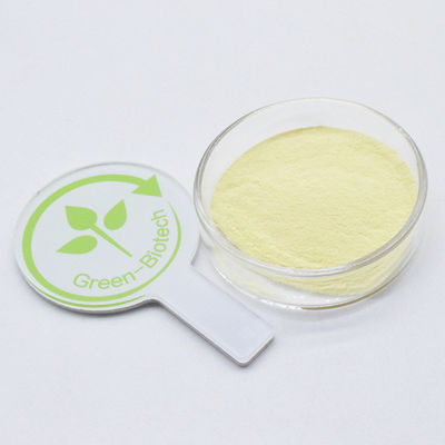 Vendita a caldo Cura della salute Estratto di kava naturale biologico 20% 30% Polvere gialla fine