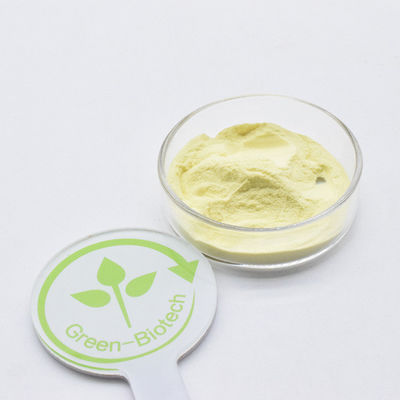Vendita a caldo Cura della salute Estratto di kava naturale biologico 20% 30% Polvere gialla fine