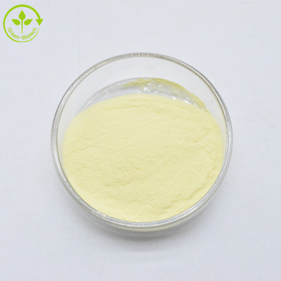 Estratto di radice di kava di alta qualità 100% pura Kavalactone 30%