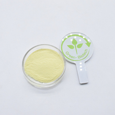Estratto di kava biologico di grado alimentare giallo in polvere 30% Kavalactoni