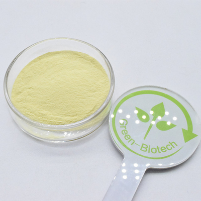 Estratto di kava giallo naturale al 100% Kavalactoni Polvere di radice di kava
