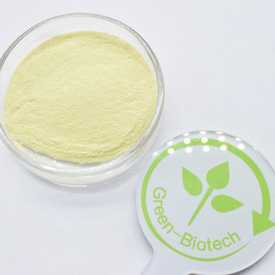 Kavalactones in polvere di estrazione di radice di Kava Kava