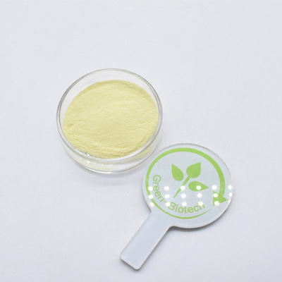 Estratto di radice di kava 100% puro marrone giallo organico
