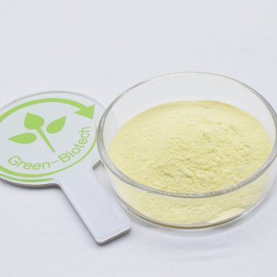 Estratto di radice di kava 100% puro marrone giallo organico