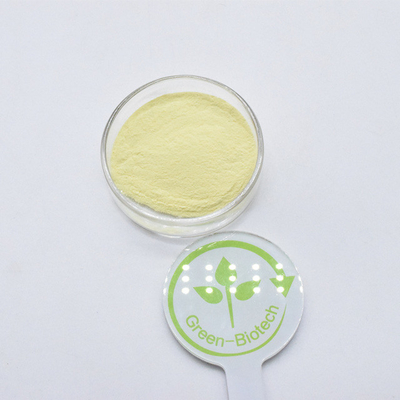 Fornitura di Kava Root Extract in polvere Kavalactoni Kava 20% 30% Estratto in polvere
