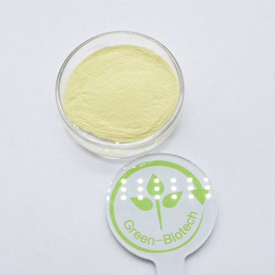 Estratto di radice di Kava giallo idrosolubile 30% Estratto di Kava in polvere