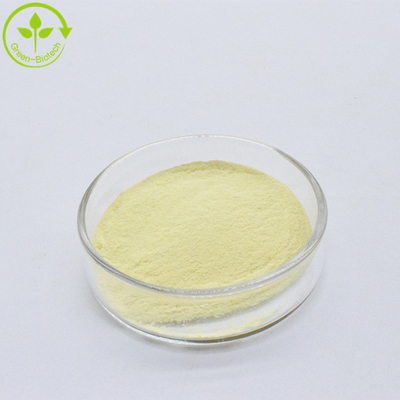Polvere gialla fine Estratto naturale di radice di kava 30% Kavalactoni Polvere Estratto di kava