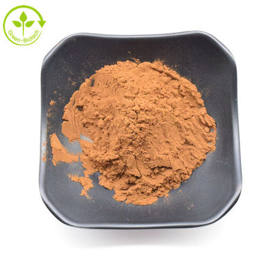 Estratto di crisantemo selvatico giallo marrone di alta qualità:1