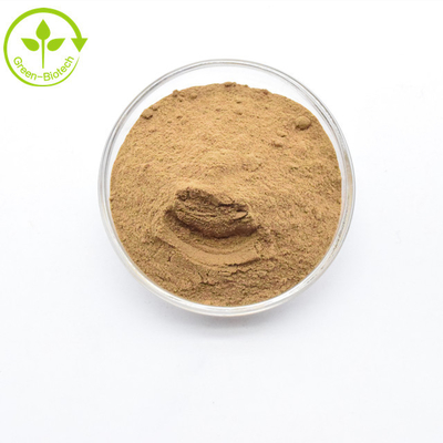 Prodotto alimentare di qualità giallo marrone campione libero Dendrobium extract powder