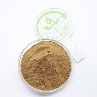 Polvere fine a sfuso marrone 10:1 5:1 20:1 Estratto di Dendrobium officinale