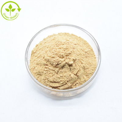 Supplemento nutrizionale sportivo Beta ecdisterone in polvere Estratto di erbe