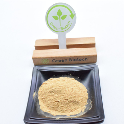 Ecdisterone 90% Beta-ecdisterone