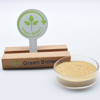 Estratto di dew grass Bate-ecdysterone UV 90% Cyanotis Vaga Estratto di ecdysterone in polvere